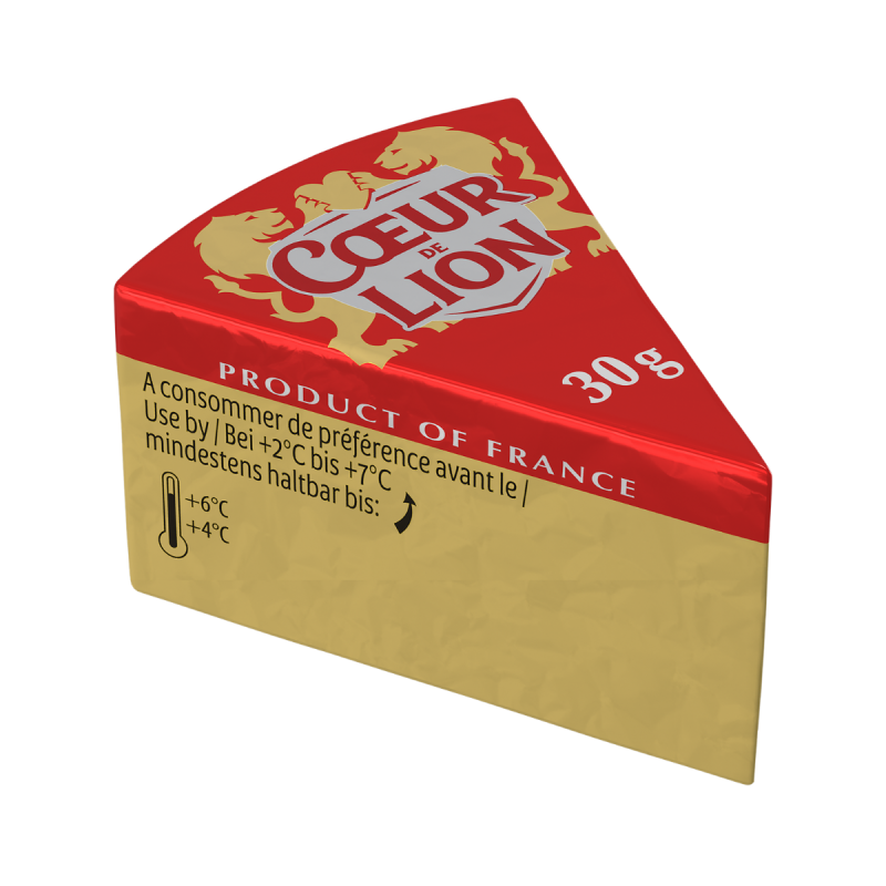 CAMEMBERT 30G