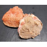 GRATIN DE CRABE 150g