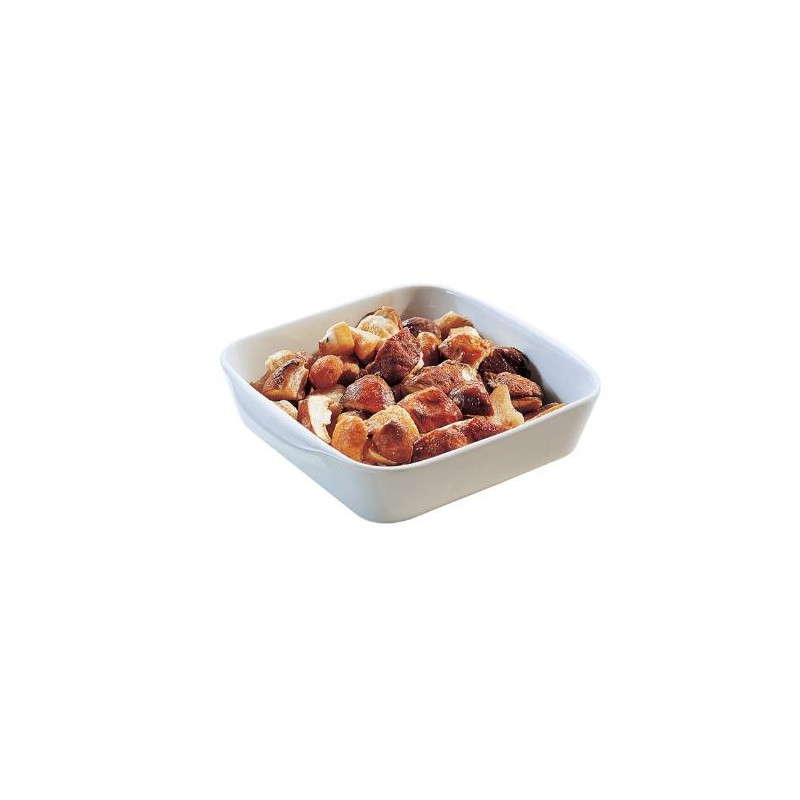 Cèpes Morceaux