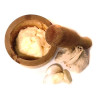 AIOLI