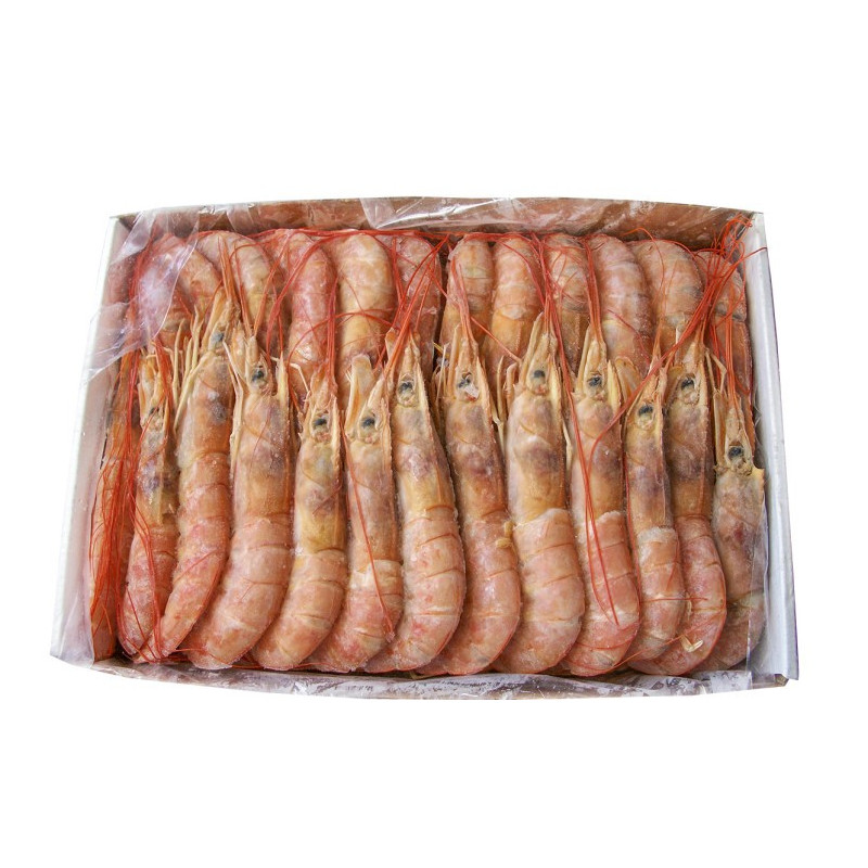 Gambas Sauvages n°1