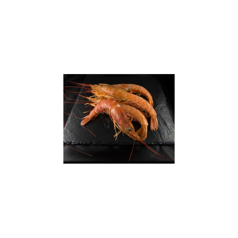 Gambas Sauvages n°1