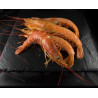 Gambas Sauvages n°1